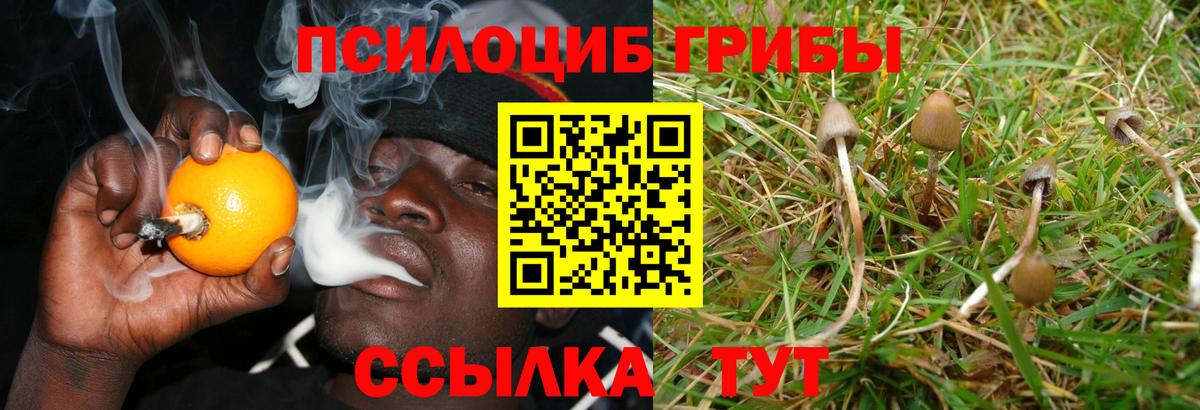 Качканар  Галлюциногенные грибы Cubensis  Вход с VPN  Галлюциногенные грибы MAGIC MUSHROOMS 